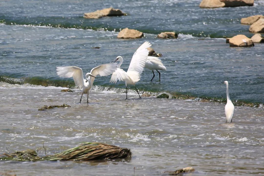 中建发展2.jpg 中建发展2.jpg