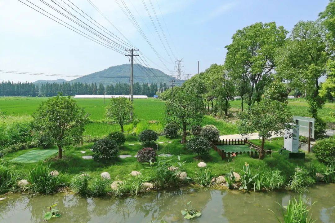 微信图片_20230104181135.jpg 微信图片_20230104181135.jpg