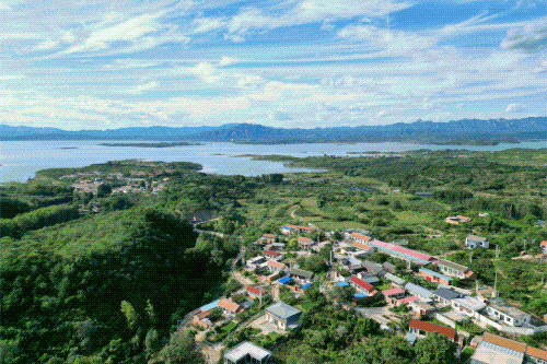 生态3.gif 生态3.gif