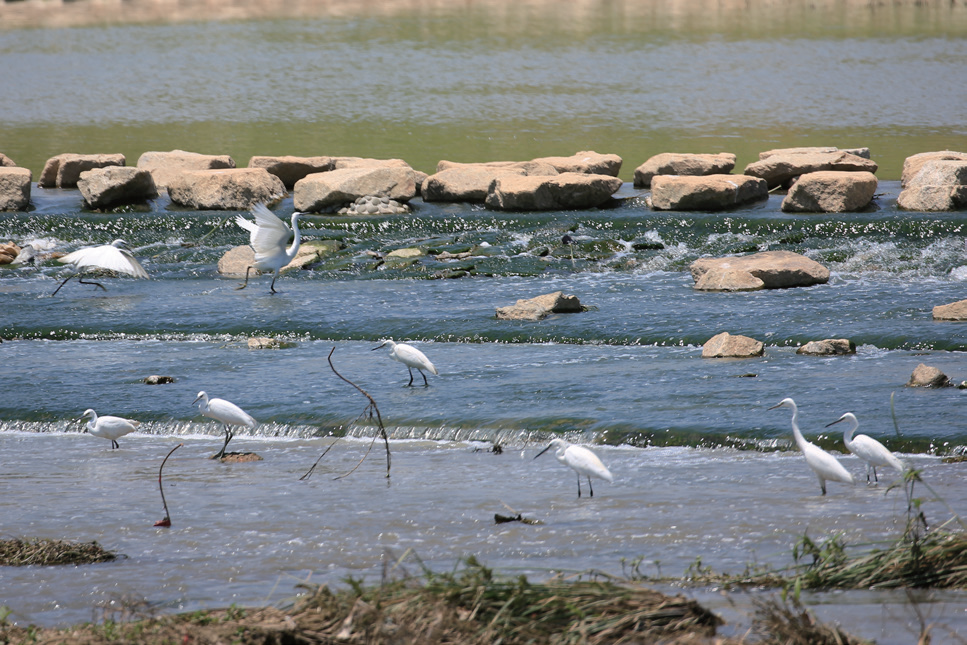 640 (4).png 640 (4).png