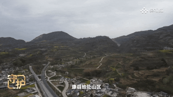 第二张.gif