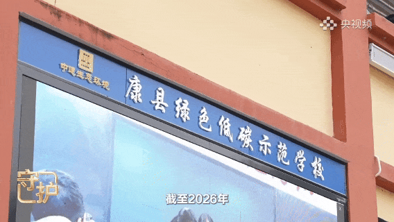 第九张.gif