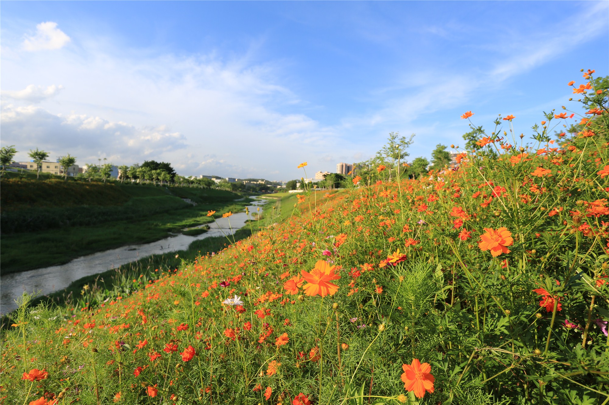 R99A8491_副本.jpg