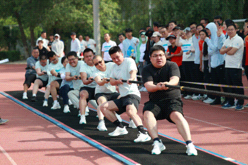 未命名1.gif 未命名1.gif